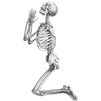 Halloween Skeleton Transparent Background PNG Image