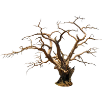 Halloween Tree Picture PNG