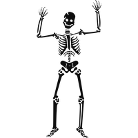 Halloween Skeleton Hd PNG