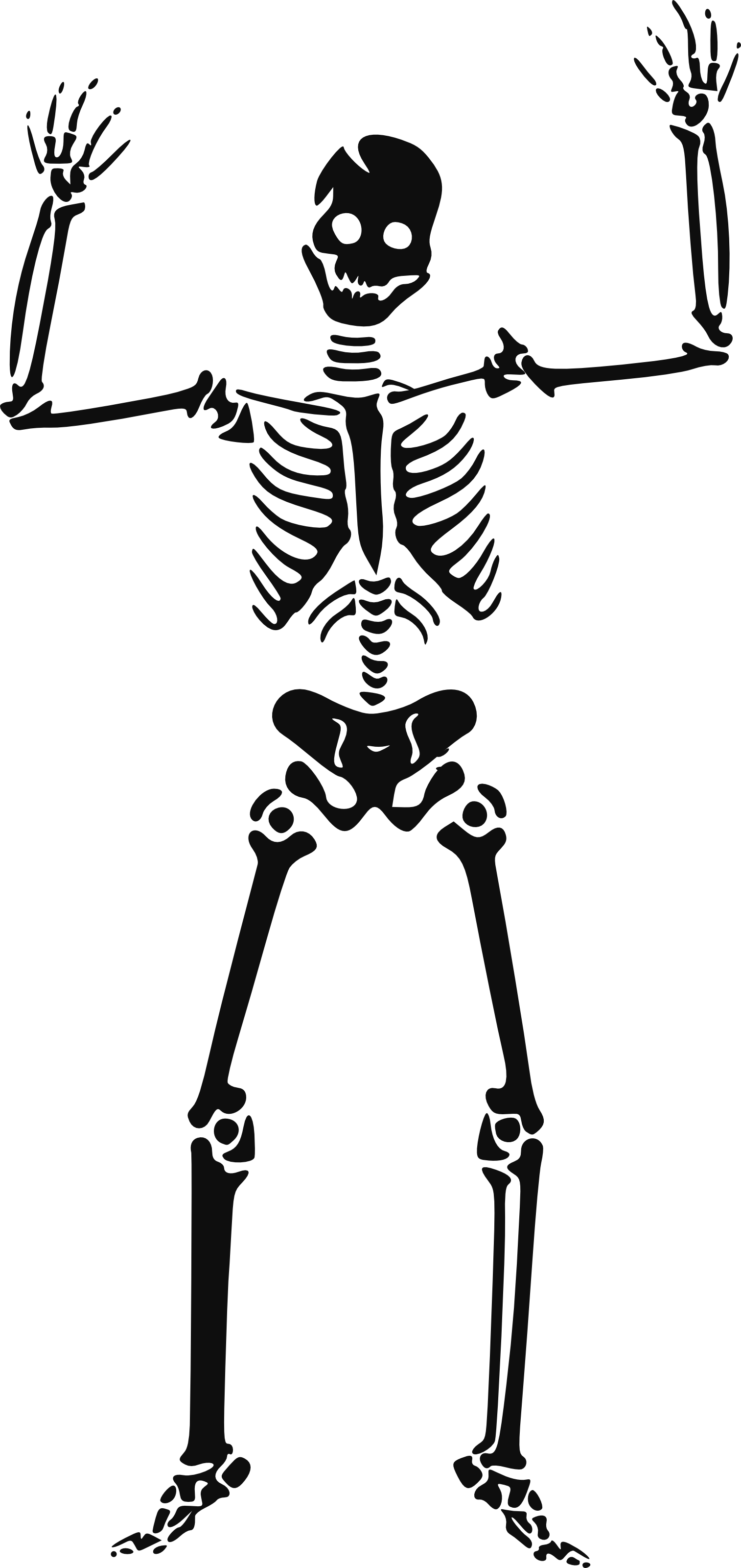Halloween Skeleton Hd PNG Image