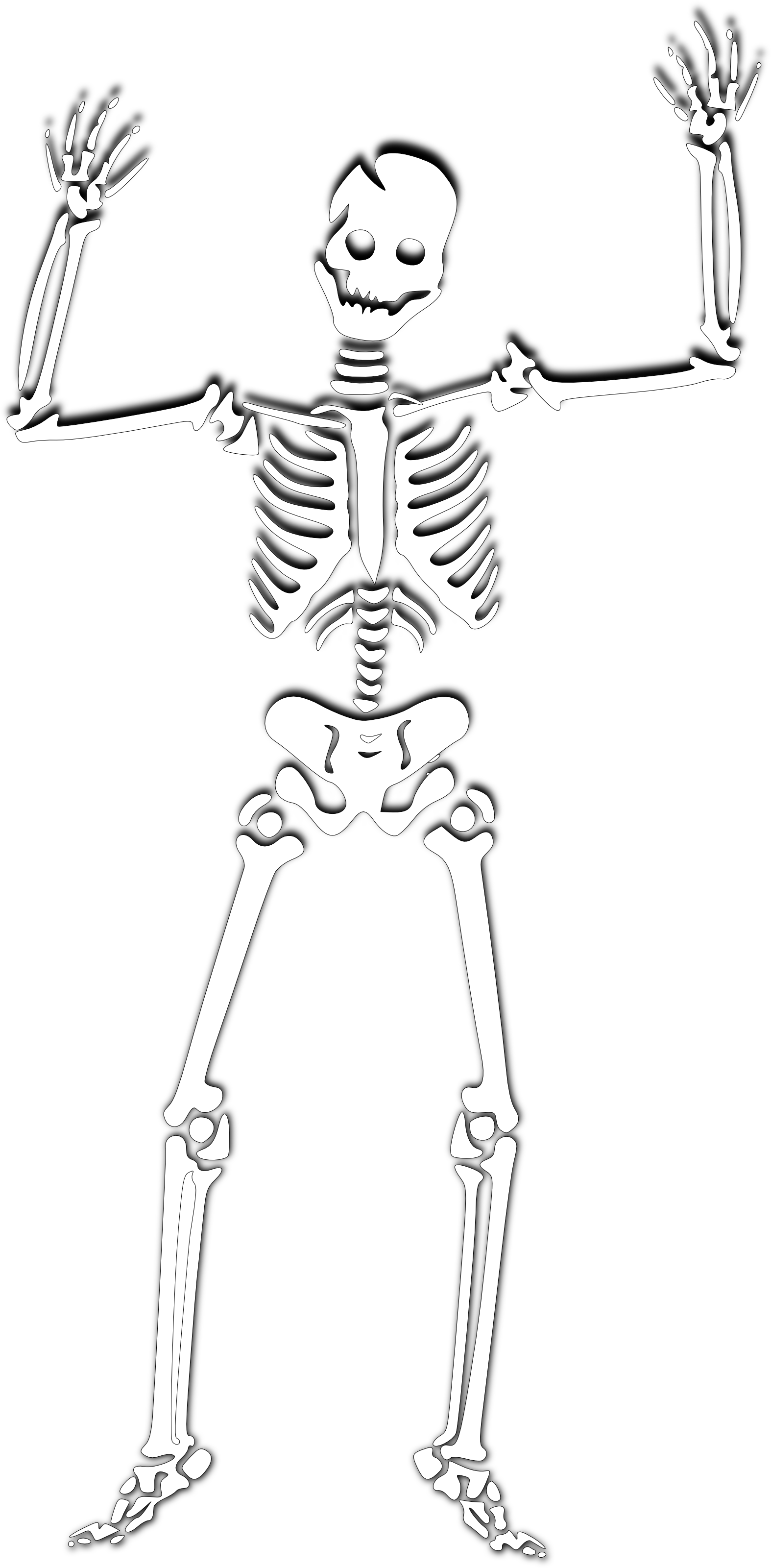 Halloween Skeleton Photos Transparent PNG Image