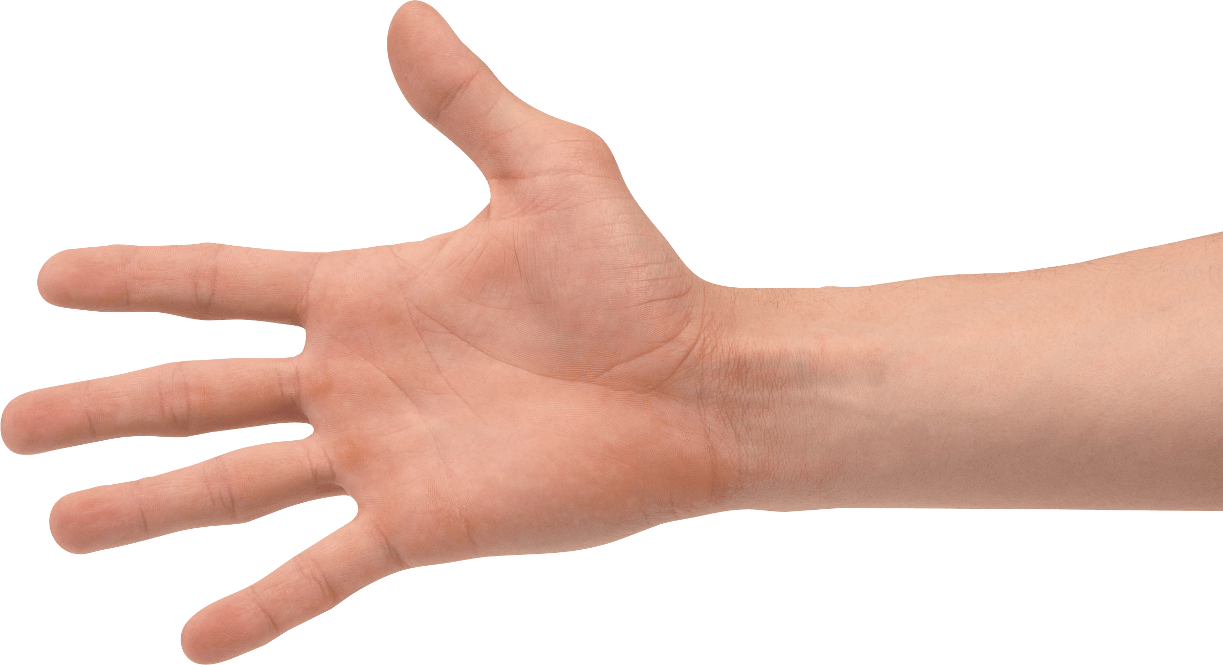 1 Hands Png Hand Image  