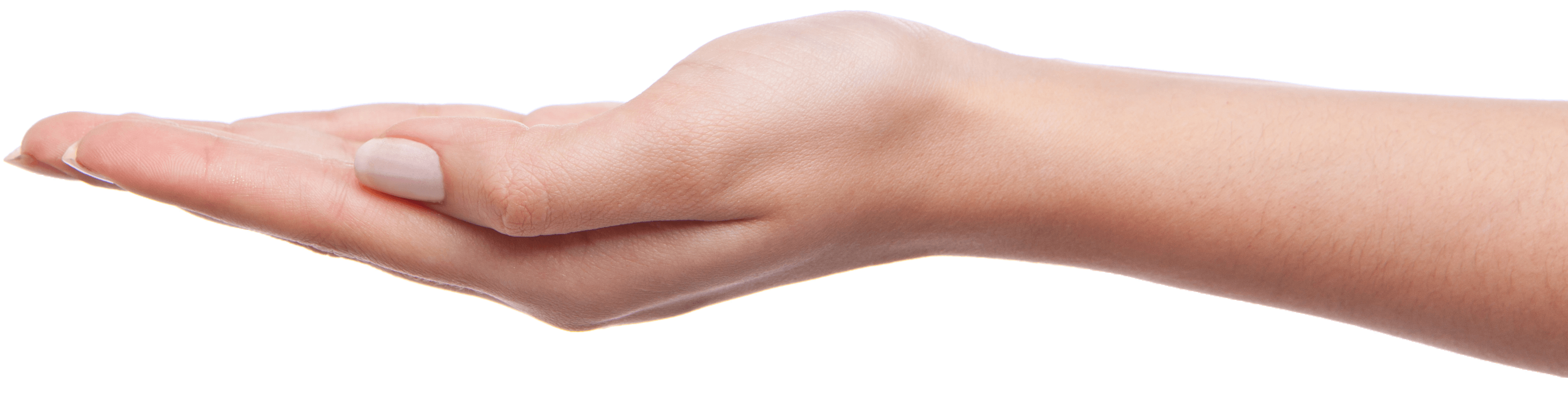 Palm Hands Png Hand Image  PNG Image