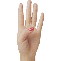Hands Png Hand Image  Transparent PNG Image
