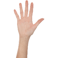 Hands Png Hand Image  Transparent PNG Image