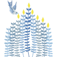 Hanukkah Line For Candle Day