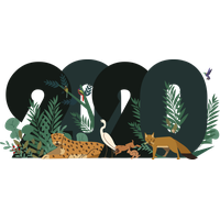 New Year Wildlife Natural Environment Jungle For Happy 2020 Cake