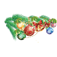 New Year Christmas Royal Message Evergreen Fir For Wishes