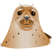 Harbor seal Transparent PNG Image