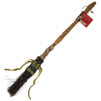 Harry Potter Broom PNG