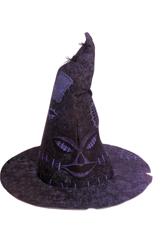 Hat Sorting Potter Photos Harry PNG Image