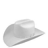 Download Hat Free PNG photo images and clipart | FreePNGImg