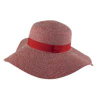 Hat Transparent