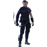 Download Hawkeye Free PNG photo images and clipart | FreePNGImg