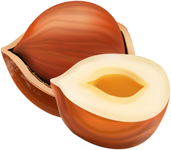 Hazelnut Transparent PNG Image