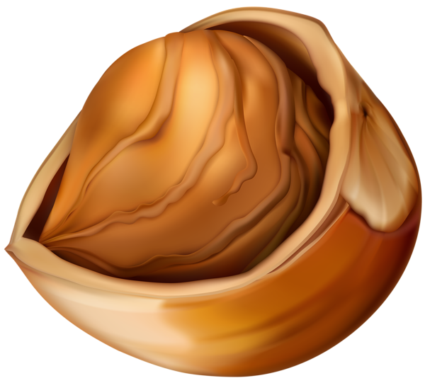 Hazelnut Transparent PNG Image