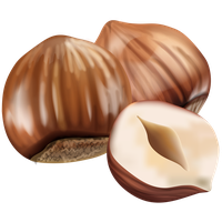 Hazelnut PNG
