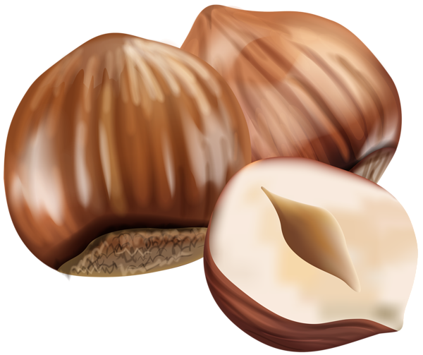 Hazelnut Transparent PNG Image