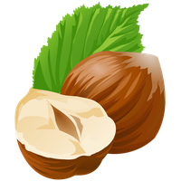 Hazelnut PNG