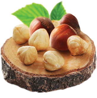 Hazelnut Transparent PNG Image