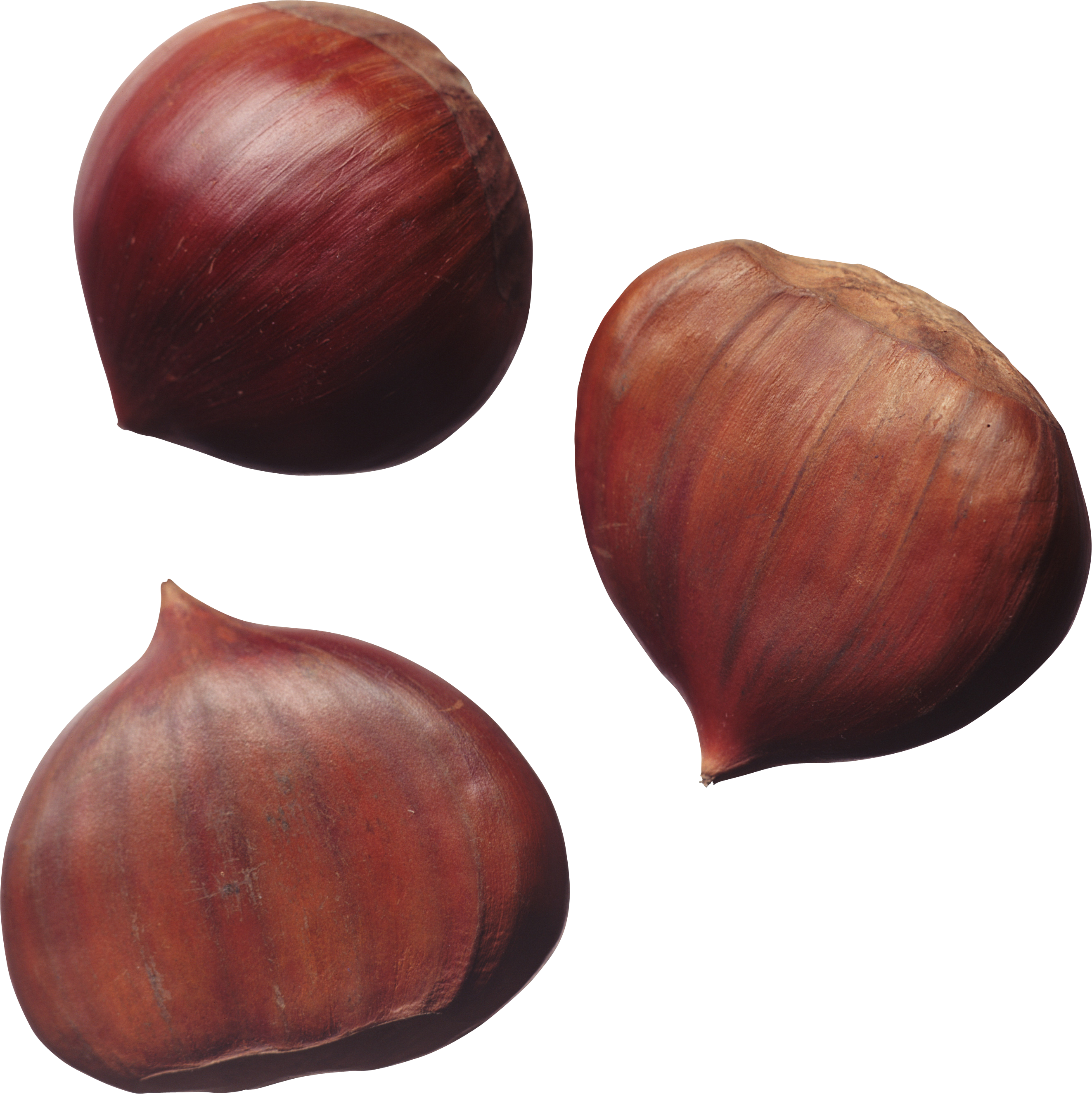 Hazelnut Transparent PNG Image