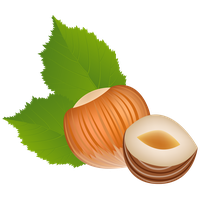 Hazelnut PNG