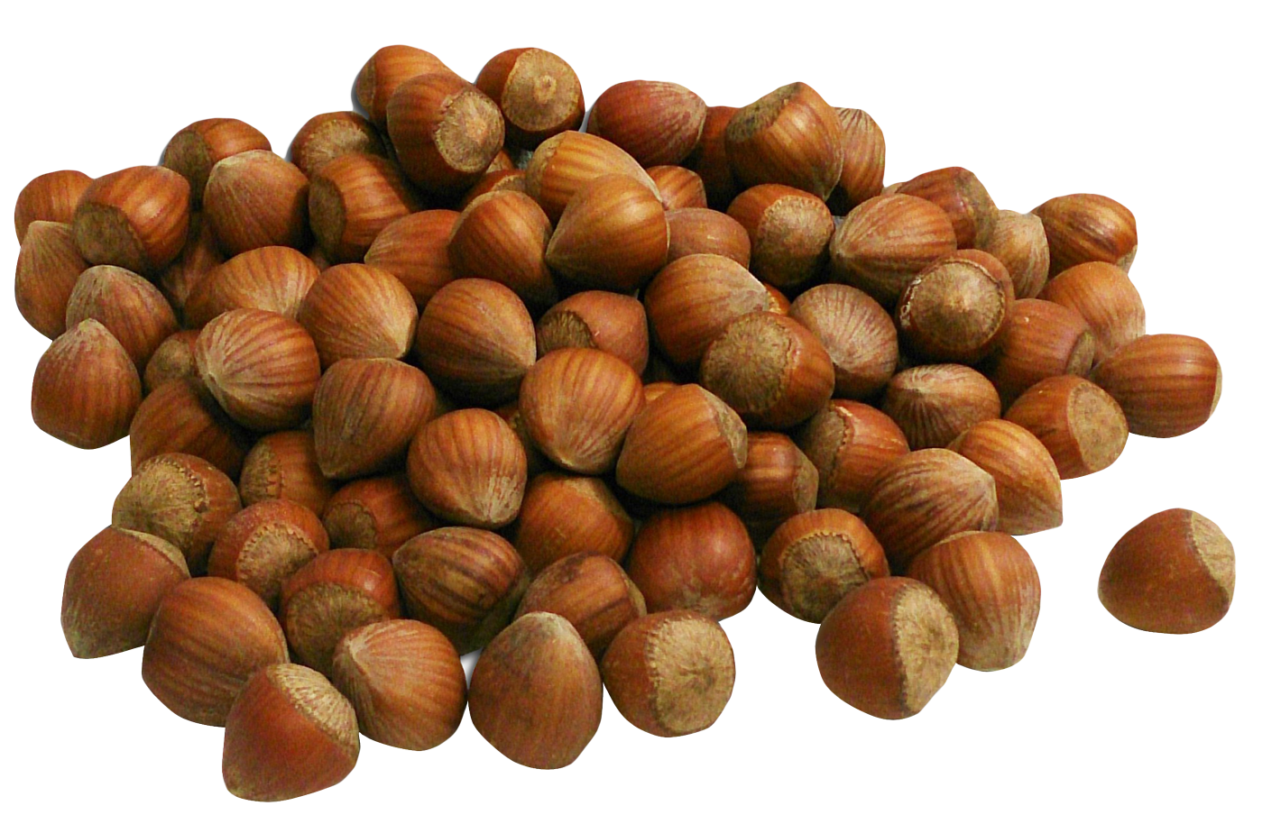 Hazelnut Transparent PNG Image