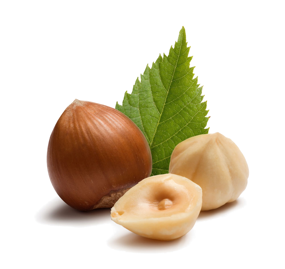 Hazelnut Transparent PNG Image