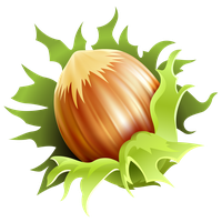 Hazelnut PNG