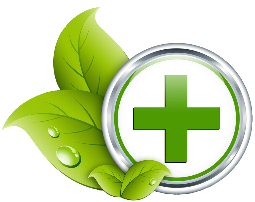Download Green Healthcare Medicine Health Care Icon Hq Png Image