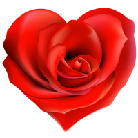 Rose Photos Heart Free Clipart HD Transparent PNG Image