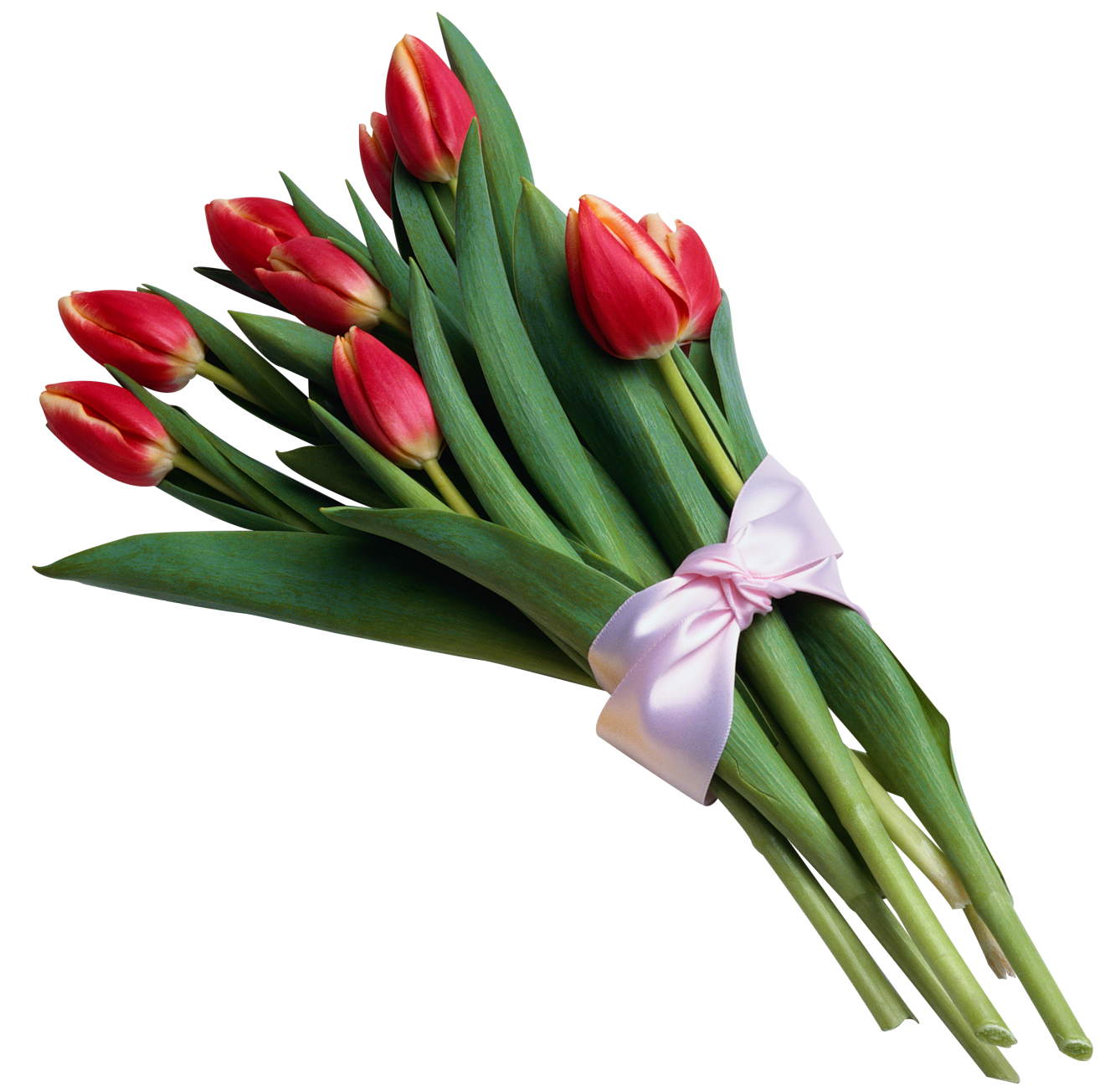 Picture Flower Bouquet Tulips Tulip Of Transparent PNG Image