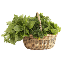 Herbs Photos PNG Download Free PNG Image