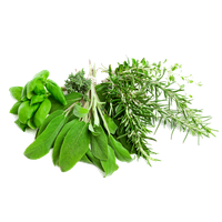 Herbs Leaf Free Transparent Image HD PNG Image