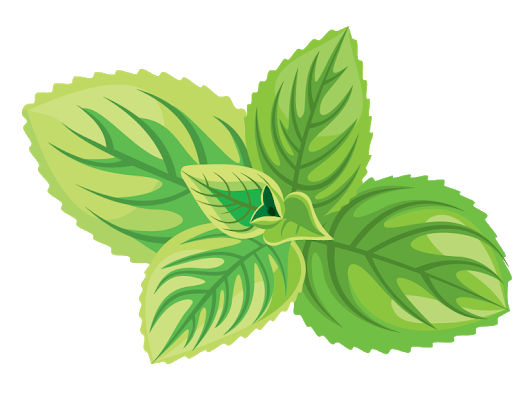 Herbs Pic Leaf Download HQ PNG Image