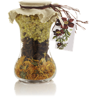 Medicine Herbs PNG File HD PNG Image