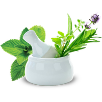 Medicine Herbs Pic Free Download PNG HQ PNG Image