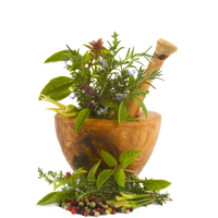 Download Herbs Free PNG photo images and clipart | FreePNGImg