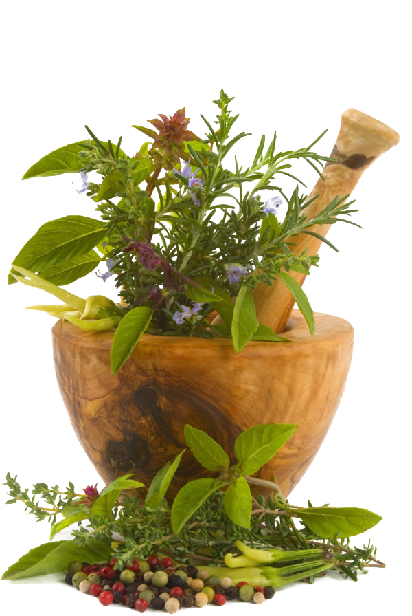 Medicine Herbs Download HD PNG Image