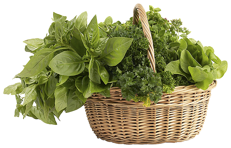 Herbs Clipart PNG Image