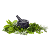 Herbs Image PNG Image