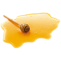 Download Honey Free PNG photo images and clipart | FreePNGImg