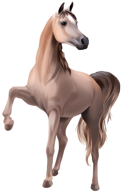 Brown Horse Arabian PNG Image High Quality PNG Image