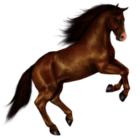 Horse Png 8 PNG