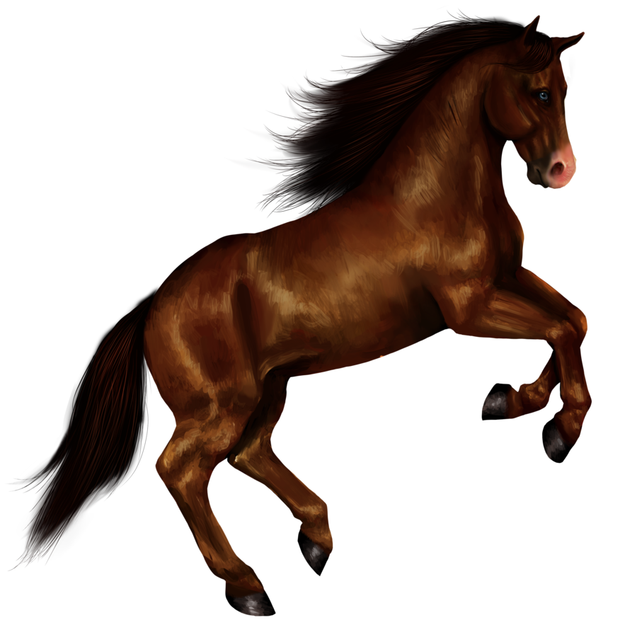 Horse Png 8 PNG Image