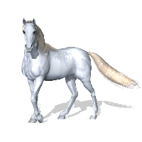 Download Horse Free PNG photo images and clipart | FreePNGImg