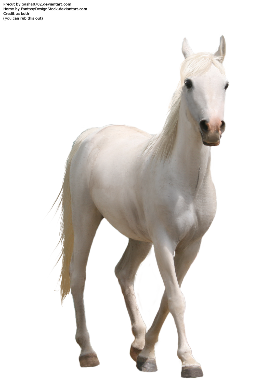 Download Horse Png 7 HQ PNG Image | FreePNGImg