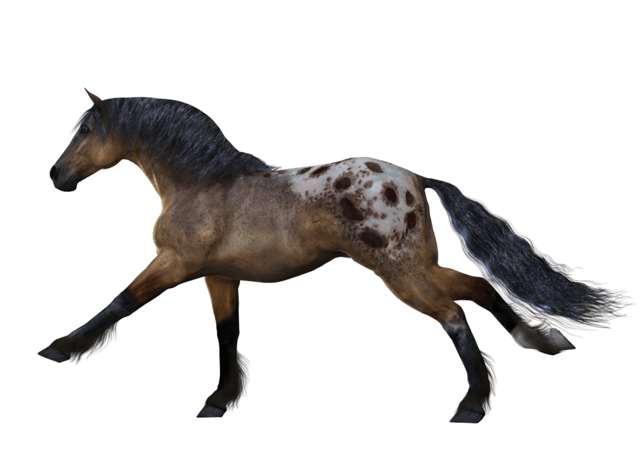 White Horse Png Image Download Picture Transparent Background PNG Image