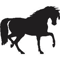 Horse Png Image Transparent HQ PNG Download | FreePNGImg