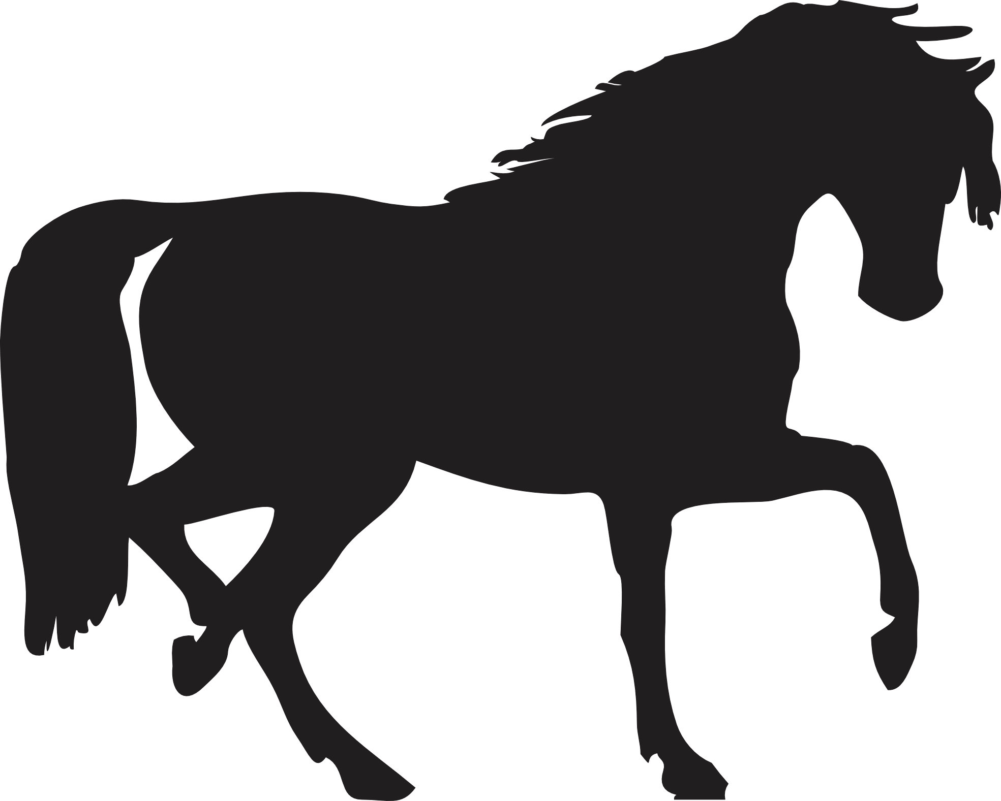 Black Horse Siluete Png Image PNG Image